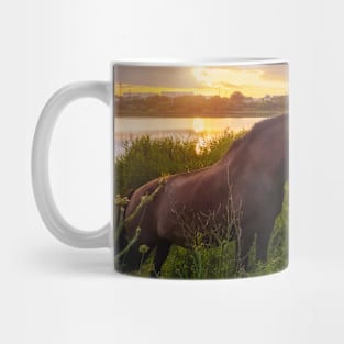 stallion on pasture Mug